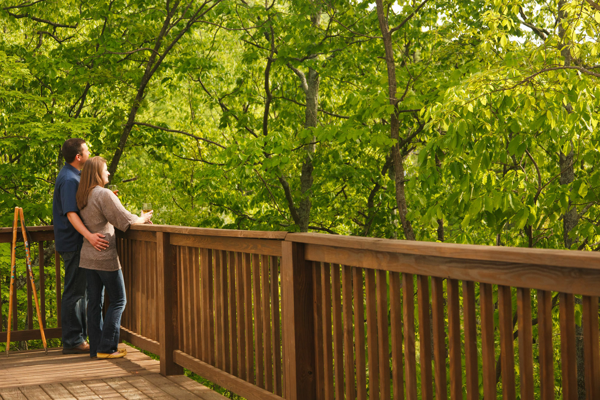 Iris Inn & Cabins Waynesboro Bagian luar foto